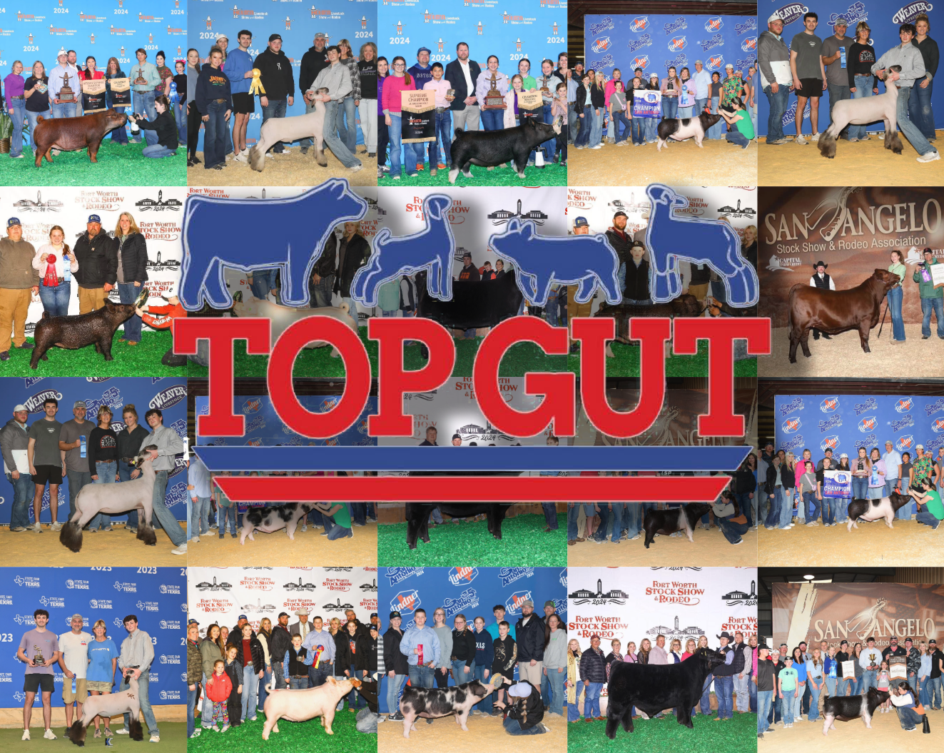 Top Gut