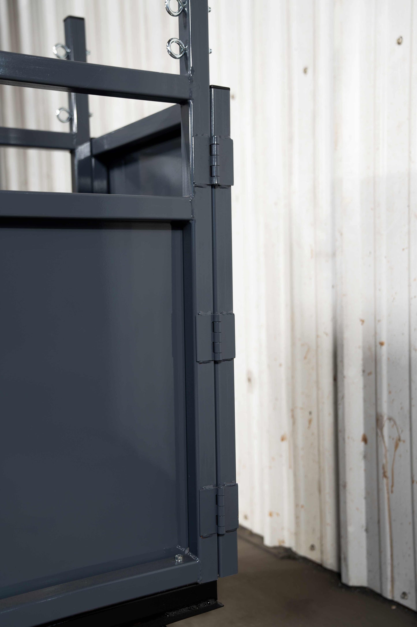 Industrial-Duty Lamb And Goat Treadmill