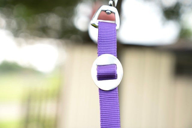 Walker Halter 2.0