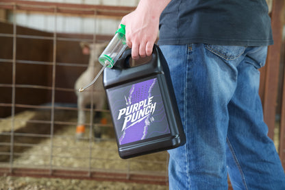 punch herbicide Purple Punch – Livestock Performance Products