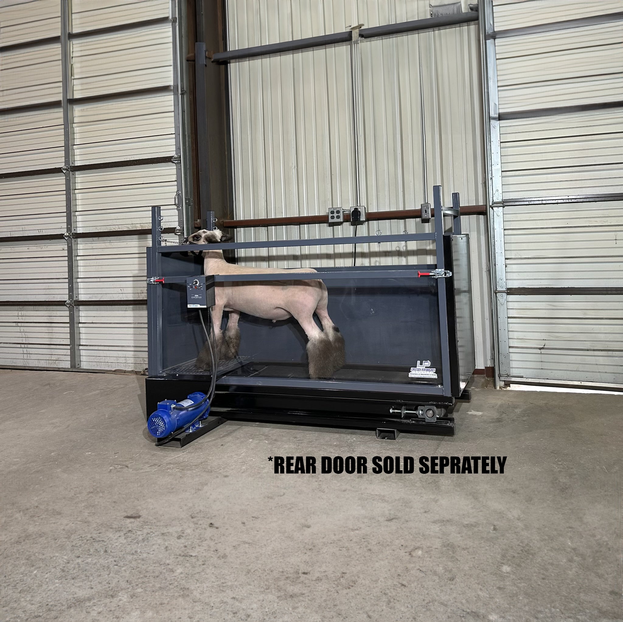 ClearView™ Lamb And Goat Treadmill