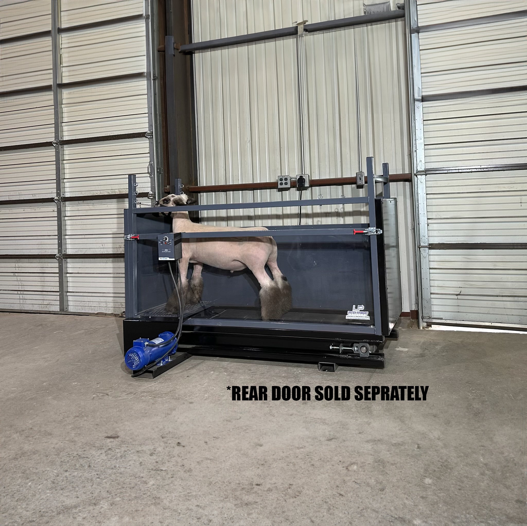 ClearView™ Lamb And Goat Treadmill – Livestock Performance Products
