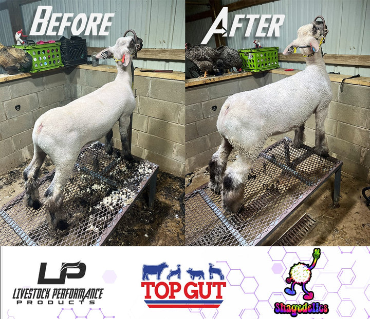 Livestock Performance Products