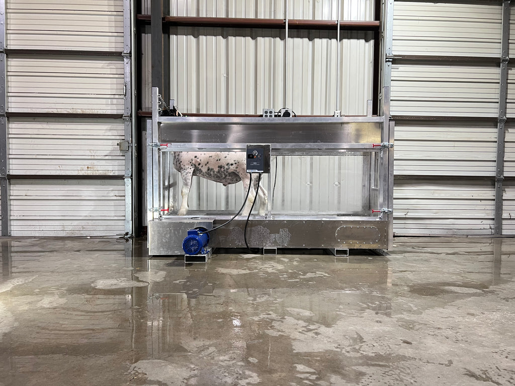 Lamb & Goat Treadmill Products Livestock Performance Products